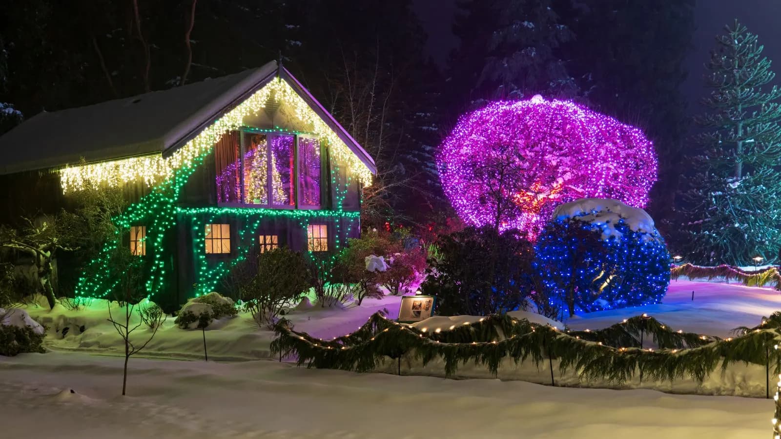 Example of a cottage with icicle lights on the roofline, green lights on the walls and color-wrapped shrubs