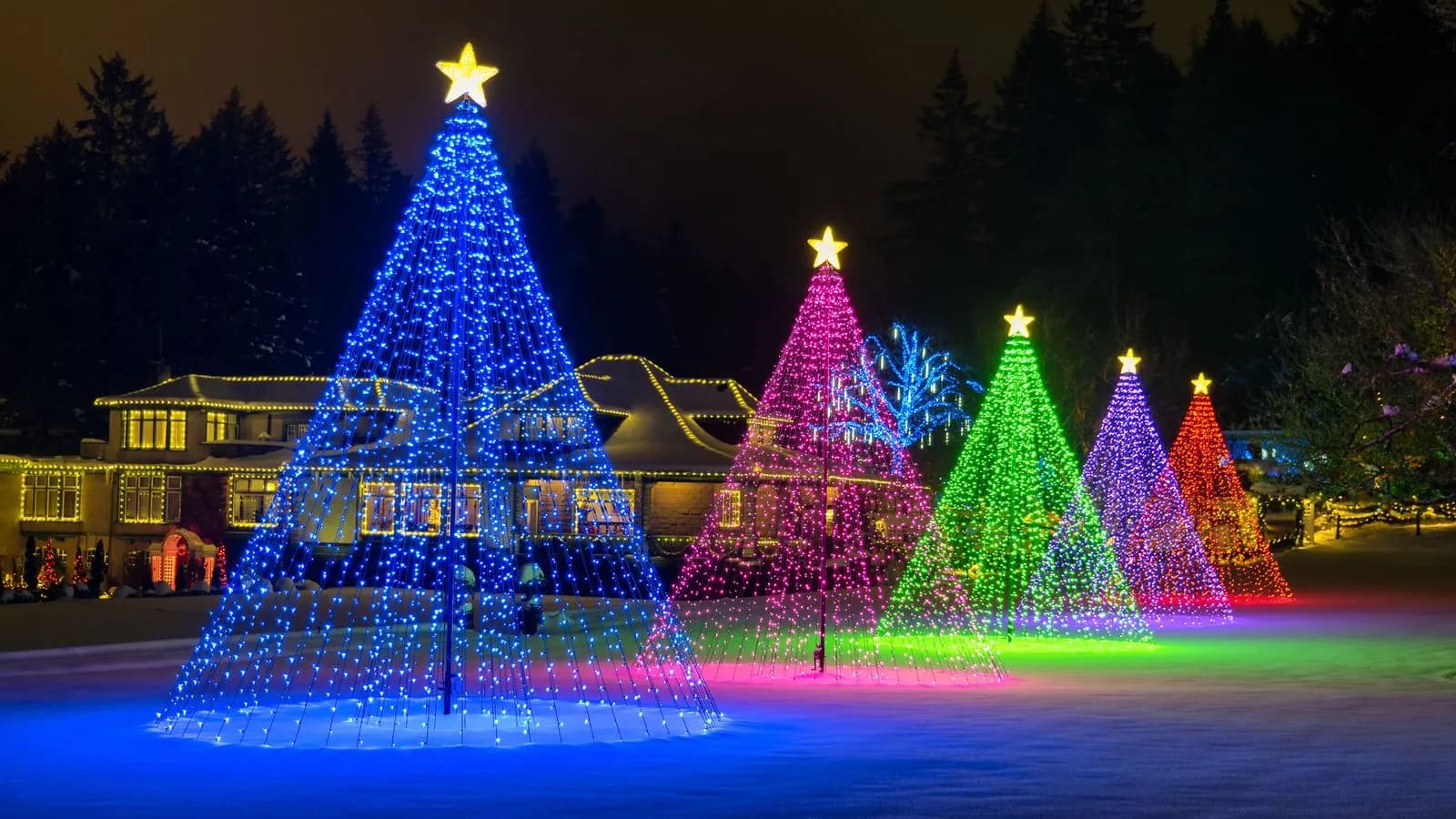 Example of colourful LED light-cone trees with star toppers on the grounds of a large property