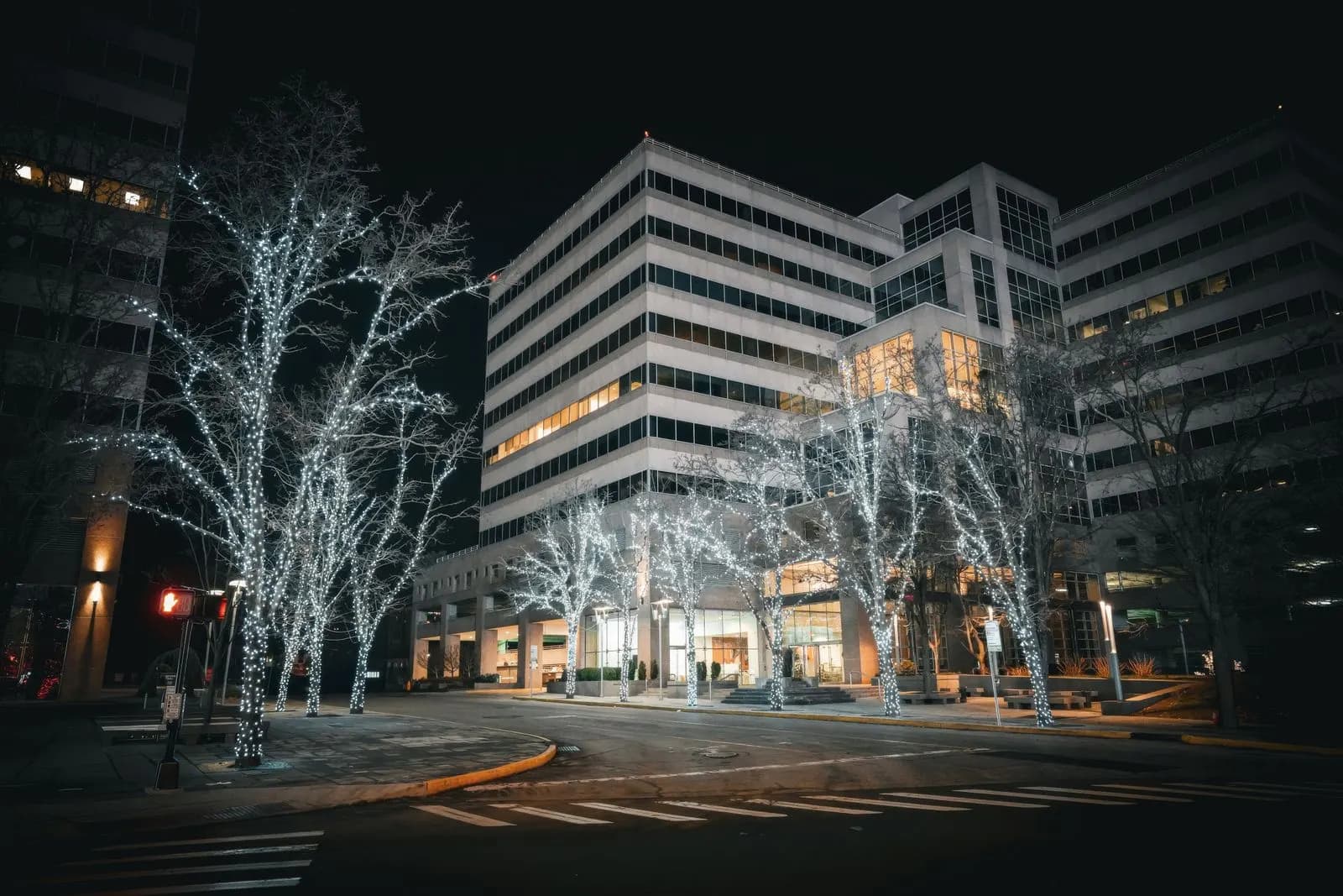Example of street trees wrapped in white LED lights outside an office building at night