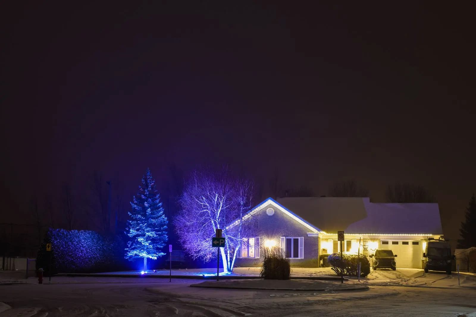 Example of a single-story home with warm white roofline lights and evergreen trees lit in blue
